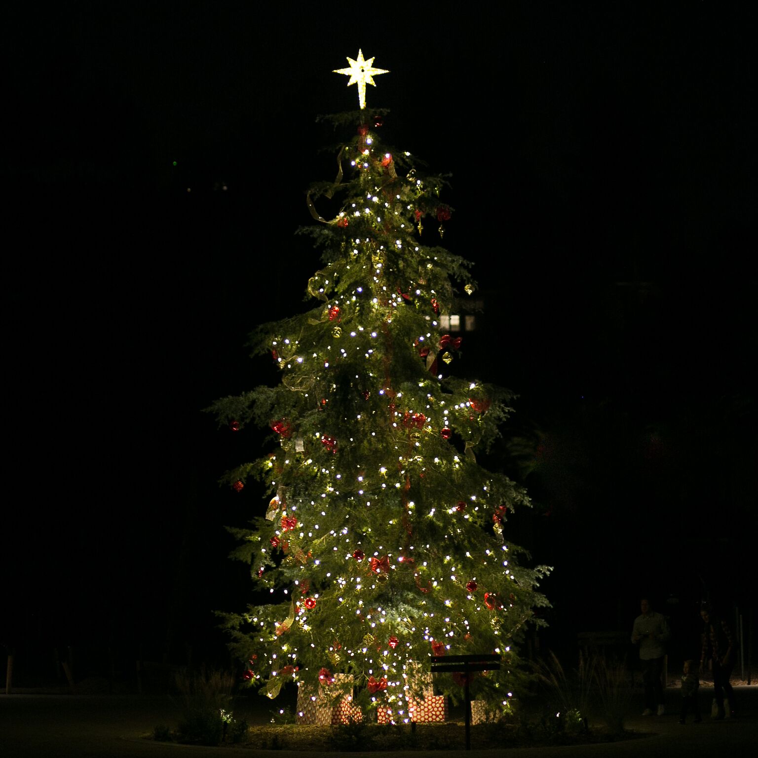Christmas on the Farm Peltzer Family Cellars